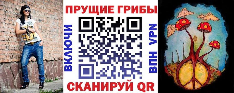 Галлюциногенные грибы Psilocybine cubensis  Выборг 